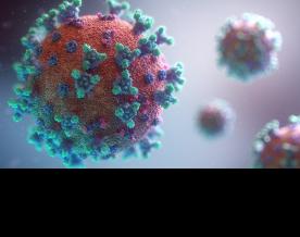 Биологи разрабатывают новое средство для лечения всех вариантов SARS-CoV-2