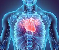 Abbott приобретет Cardiovassours Systems за 837,6 млн долларов