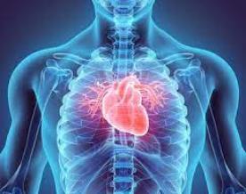 Abbott приобретет Cardiovassours Systems за 837,6 млн долларов